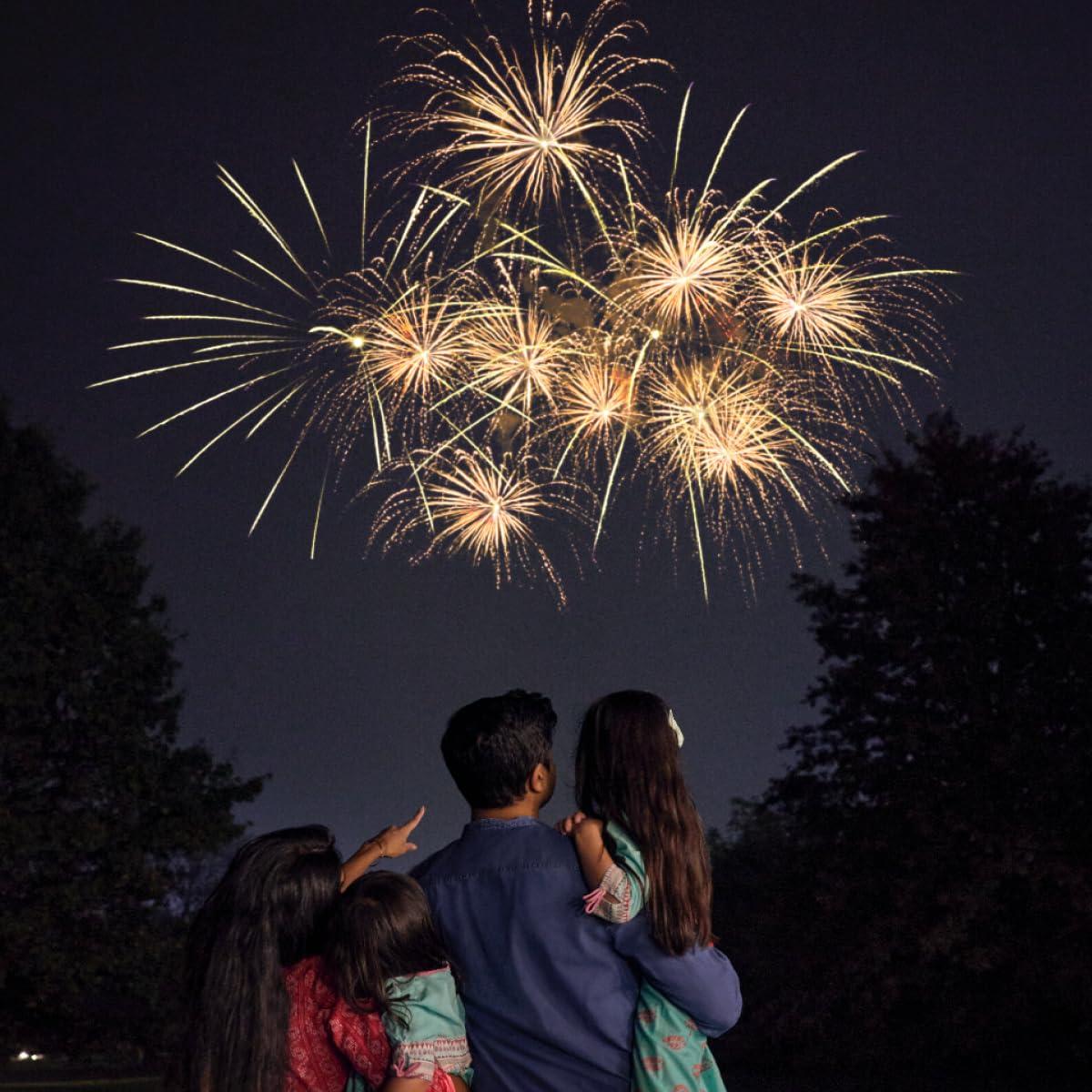 imageLovevery Nyras Diwali